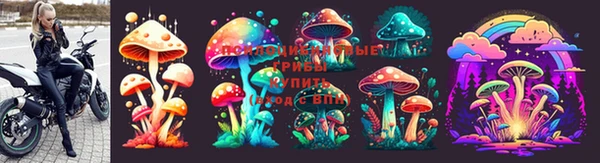 марки nbome Каменногорск