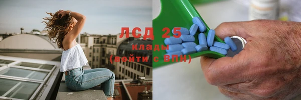 PSILOCYBIN Каменка