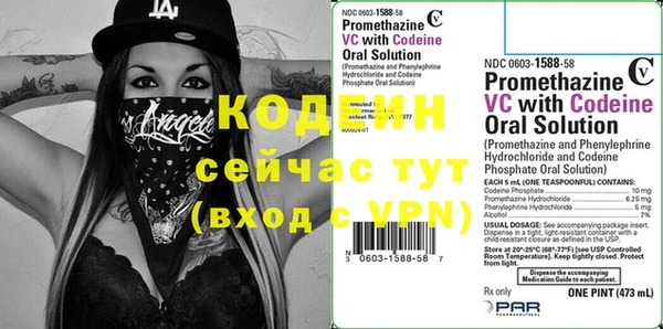 PSILOCYBIN Каменка