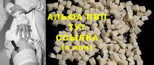 PSILOCYBIN Каменка