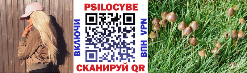 Купить  Балаково  Галлюциногенные грибы Psilocybine cubensis 